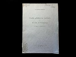 Bild des Verkufers fr Civilta palafitticola lombarda e Civilta di Golasecca. (Origini e interferenze). zum Verkauf von Antiquariat Bookfarm