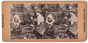 Seller image for Stereo-Fotografie englsiche Frauen und Kinder bei der Hopfenernte in Kent, in a Kent Hop Garden for sale by Bartko-Reher