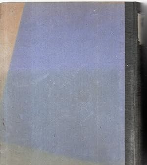 Bild des Verkufers fr Reichs-Gesetzblatt 1917 zum Verkauf von Antiquariat Jterbook, Inh. H. Schulze