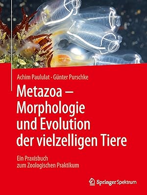 Bild des Verkufers fr Metazoa - Morphologie und Evolution der vielzelligen Tiere zum Verkauf von moluna