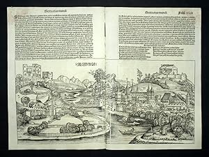 CARTE VILLES DE SALZBOURG EN AUTRICHE, LA CHRONIQUE DE NUREMBERG