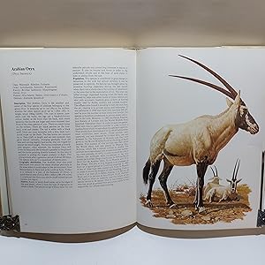 Bild des Verkufers fr Wildlife In Peril zum Verkauf von Cambridge Rare Books