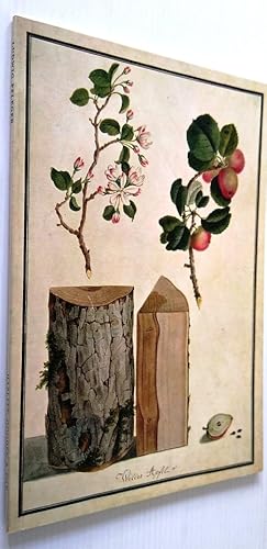 Ludwig Pfleger: Botanical Drawings Baden-Baden 1788 Hazlitt, Gooden and Fox catalogue 10th March ...