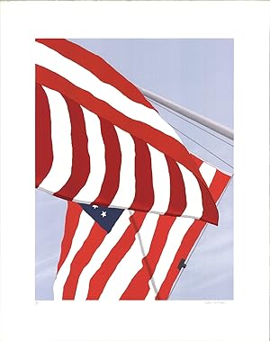 Imagen del vendedor de GRETCHEN DOW SIMPSON Flags, 1991 - Signed a la venta por Art Wise