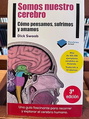 Seller image for SOMOS NUESTRO CEREBRO-Como pensamos, sufrimos y amamos for sale by Antigua Librera Canuda