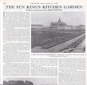 Imagen del vendedor de The Potager at Versailles: The Sun King's Kitchen Garden. Several pictures and accompanying text, removed from an original issue of Country Life Magazine, 1976. a la venta por Cosmo Books