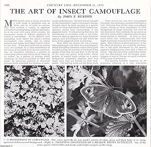 Imagen del vendedor de The Art of Insect Camouflage. Several pictures and accompanying text, removed from an original issue of Country Life Magazine, 1975. a la venta por Cosmo Books