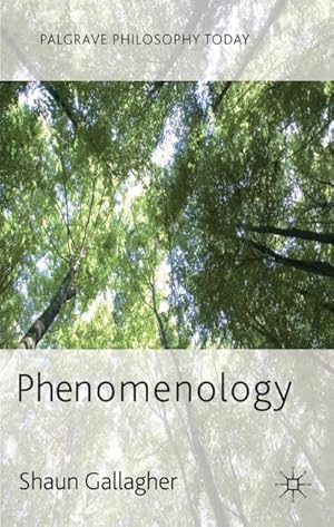 Imagen del vendedor de Phenomenology a la venta por BuchWeltWeit Ludwig Meier e.K.