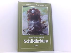 Seller image for Schildkrten Schildkrten for sale by Book Broker