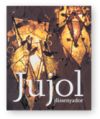 Seller image for Jujol, dissenyador for sale by AG Library