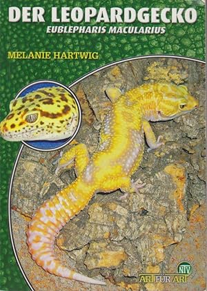 Bild des Verkufers fr Der Leopardgecko. Eublepharis macularius. zum Verkauf von Bcher bei den 7 Bergen