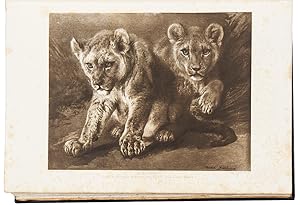 Imagen del vendedor de Rosa Bonheur Sa Vie Son Oeuvre a la venta por Donald A. Heald Rare Books (ABAA)