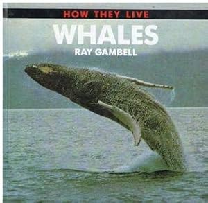 Bild des Verkufers fr Whales (How They Live S.) zum Verkauf von WeBuyBooks