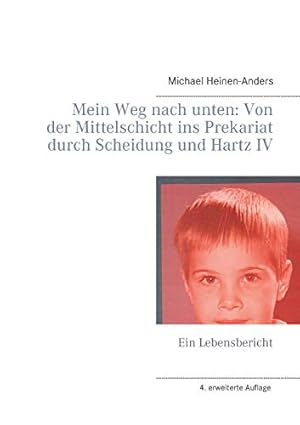 Bild des Verkufers fr Mein Weg nach unten: Von der Mittelschicht ins Prekariat durch Scheidung und Hartz IV:Ein Lebensbericht zum Verkauf von WeBuyBooks