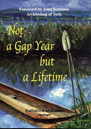 Bild des Verkufers fr Not a Gap Year But a Lifetime zum Verkauf von WeBuyBooks