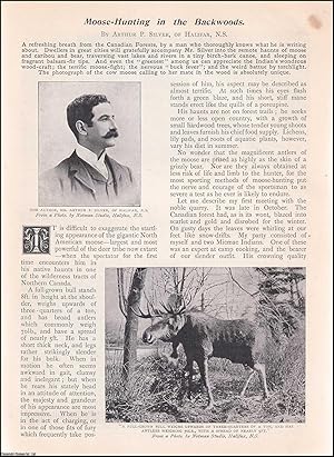 Seller image for Moose Hunting in the Backwoods, Canadian Forests. An uncommon original article from the Wide World Magazine 1900. for sale by Cosmo Books