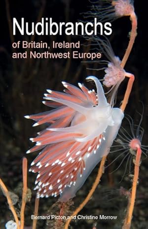 Imagen del vendedor de Nudibranchs of Britain, Ireland and Northwest Europe a la venta por GreatBookPrices