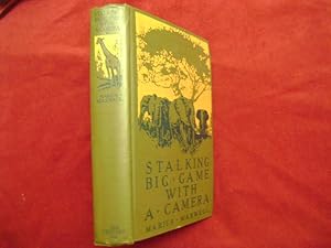 Imagen del vendedor de Stalking Big Game with a Camera in Equatorial Africa. With a Monograph on the African Elephant. a la venta por BookMine