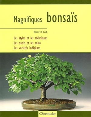 Magnifiques bonsaïs