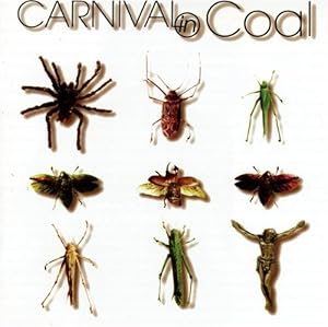 Imagen del vendedor de Fear Not [Import] [CD] Carnival in Coal a la venta por Dmons et Merveilles