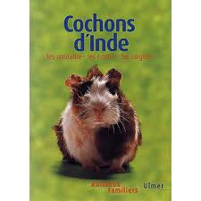 Les Cochons d'Inde