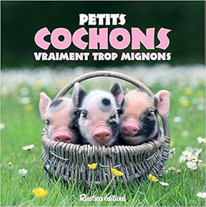 Petits cochons vraiment trop mignons