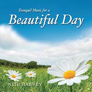 Seller image for Beautiful Day [Import allemand] for sale by Dmons et Merveilles