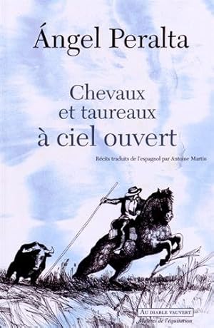 Chevaux et taureaux à ciel ouvert