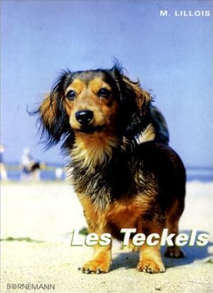 LES TECKELS. Chiens de chasse et d'agrément