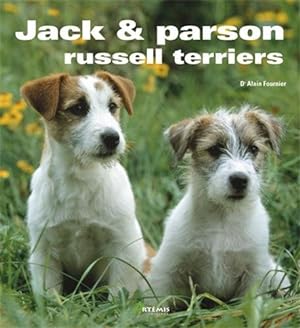 Jack et Parson russell terrier