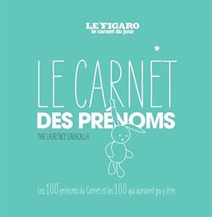 Le carnet des prénoms: Les 100 prénoms du carnet les 100 qui auraient pu y être