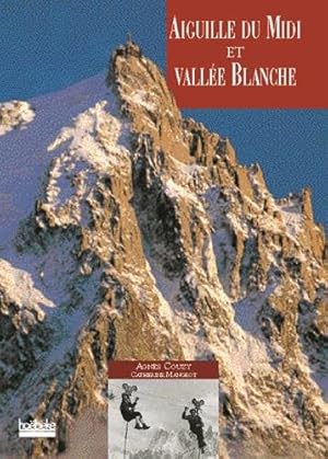 Seller image for Aiguille du Midi et la Valle Blanche for sale by Dmons et Merveilles