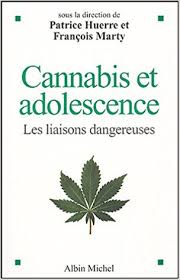 Bild des Verkufers fr Cannabis et adolescence - les li zum Verkauf von Dmons et Merveilles