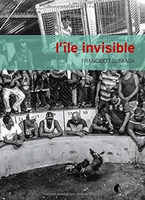 Seller image for L'Ile invisible for sale by Dmons et Merveilles