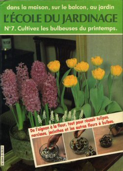 Imagen del vendedor de Cultivez les bulbeuses du printemps : De l'oignon  la fleur tout pour russir tulipes narcisses jacinthes et les autres fleurs  bulbes (L'cole du jardinage) a la venta por Dmons et Merveilles
