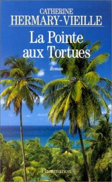 Image du vendeur pour La pointe aux tortues mis en vente par Dmons et Merveilles