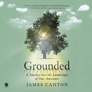 Seller image for Grounded : A Journey into the Landscapes of Our Ancestors for sale by GreatBookPricesUK