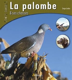 La palombe et ses chasses