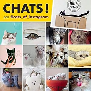Seller image for Chats d'Instagram for sale by Dmons et Merveilles