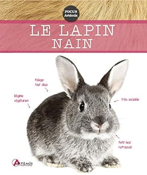 Bild des Verkufers fr Le lapin nain zum Verkauf von Dmons et Merveilles
