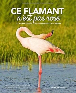Seller image for Ce flamant n'est pas rose for sale by Dmons et Merveilles