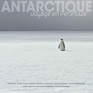 Imagen del vendedor de Antarctique: Voyage en Pninsule a la venta por Dmons et Merveilles