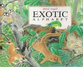 Seller image for Exotic Alphabet for sale by Reliant Bookstore