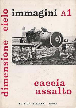 Caccia assalto - Dimensione cielo: aerei italiani nella 2^ guerra mondiale - immagini A1