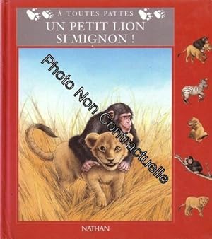 Un Petit Lion Si Mignon