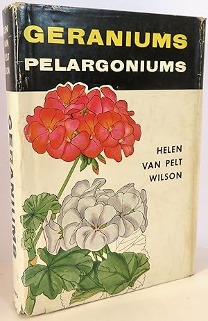 Geraniums Pelargoniums For Windows and Gardens