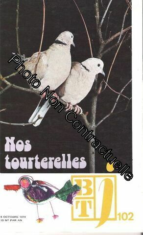 Seller image for Bt Bibliothque De Travail Pdagogie Freinet Btj N 102 Nos Tourterelles for sale by Dmons et Merveilles
