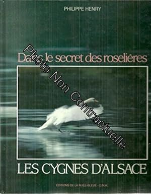 Imagen del vendedor de Dans le secret des roselires les cygnes d'Alsace a la venta por Dmons et Merveilles