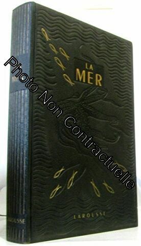 Seller image for La mer for sale by Dmons et Merveilles