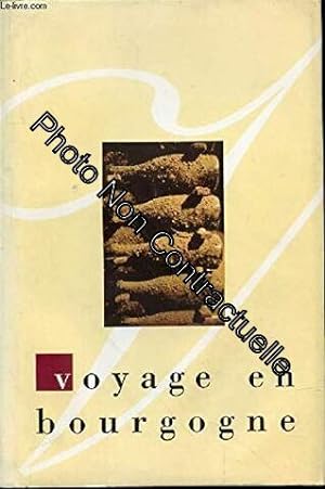 Image du vendeur pour Voyage en bourgogne mis en vente par Dmons et Merveilles